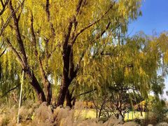 -昆山城市生态森林公园