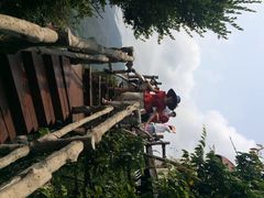 亚龙湾人间天堂-鸟巢度假村-三亚亚龙湾人间天堂鸟巢度假村