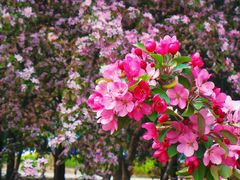 -元大都城垣遗址公园