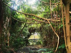 -燕晗山郊野公园