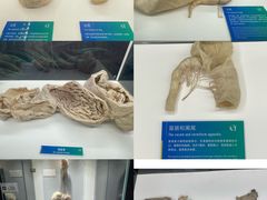 -生命奥秘博物馆