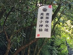 -青城山