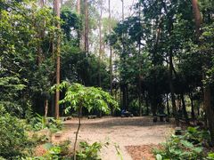 -火炉山森林公园