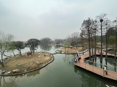 -武汉动物园