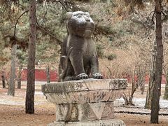-沈阳市东陵公园