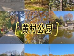-黄村公园