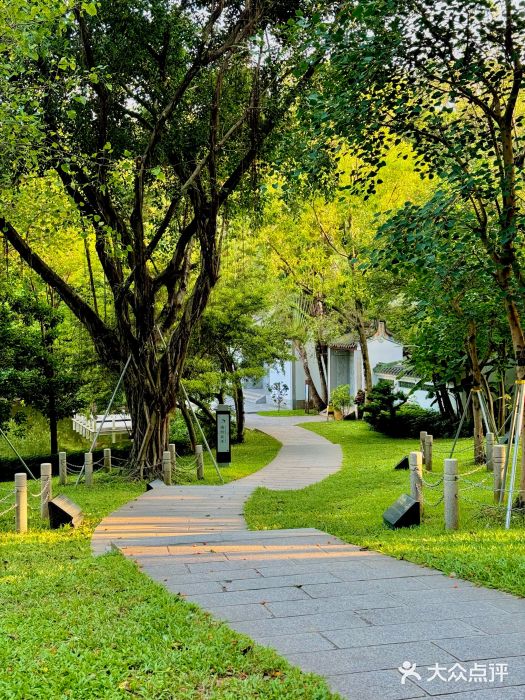 深圳国际园林花卉博览园图片