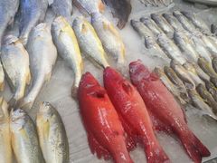 -天宁凯利时尚餐厅