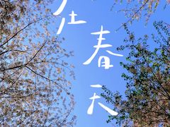 -苏州上方山国家森林公园