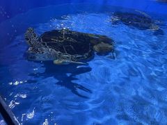 -欢乐海岸海洋奇梦馆