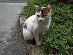 -晓港公园