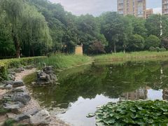 -木塔寺遗址生态公园