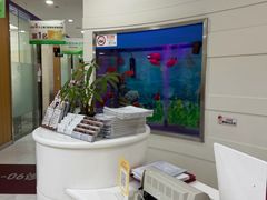 -雅悦齿科(顾村公园店)