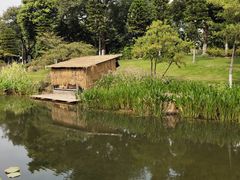 -映月湖公园