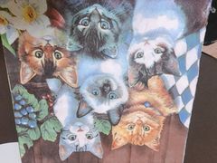 -李小姐の猫咖啡馆(五角场店)