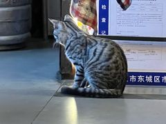 -鼓楼吃面·肉啃肉(南锣鼓巷店)