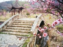 -石塘人家