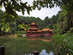 -铁山坪森林公园