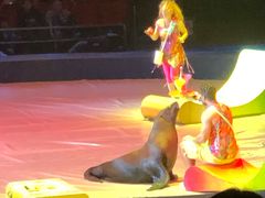 -珠海横琴长隆《卡卡虎奇遇记》