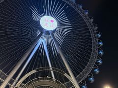 -海合安武汉极地海洋公园