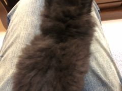 -大观园影院式足浴Spa店(沙坪坝店)