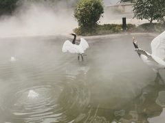 -广富林宰相府酒店·水云间