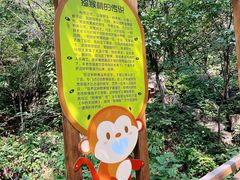 -大岭沟猕猴桃谷风景区