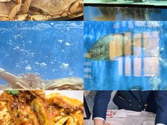 -珍宝海鲜JUMBO Seafood(尚嘉店)