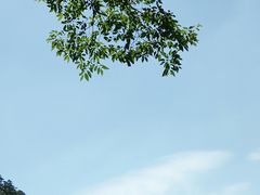 -罗田天堂寨风景区