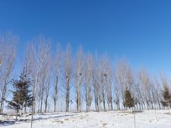 -黑龙江扎龙生态旅游区