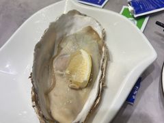 -小海丁