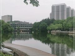 -听松楼-中餐厅.家宴(红梅公园店)