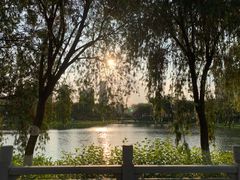 -映月湖公园