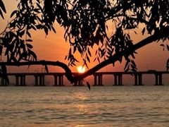 -宝安西湾红树林湿地公园