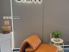 -O2ark智能微高压氧舱(天津旗舰店)