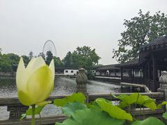 -无锡蠡湖国家湿地公园-蠡园