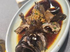 清蒸石斑鱼-鹊华居·地道鲁菜·海鲜·融合味(大明湖店)