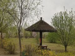 -呼兰河口湿地公园