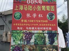 -马陆小张葡萄园农家乐