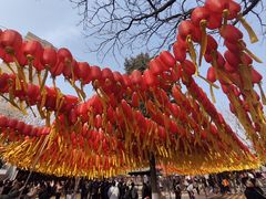 -护国法轮寺