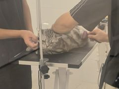 -comecome来吧宠物(奥克斯中心店)