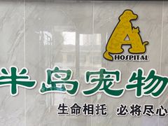-半岛宠物医院24小时(科华中路店)