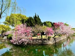 -无锡蠡湖国家湿地公园-蠡园