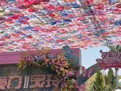 -灵玲国际马戏城
