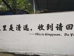 -芭厘农庄老字号·清远鸡
