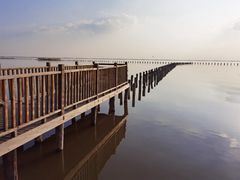-哈素海