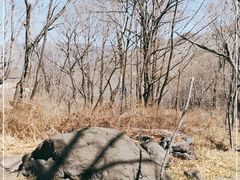 -云岫谷自然风景区