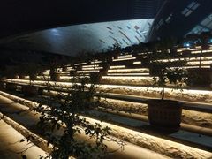 -重庆国际马戏城