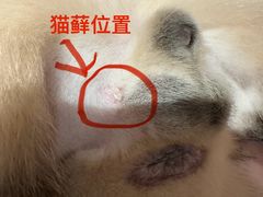 -中农大我爱我爱动物医院·核磁CT·猫病·24小时夜诊中心(石佛营店)