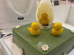 -BLACKSWAN黑天鹅(新希望店)